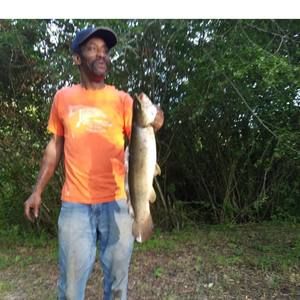 Meet your Posher, Johnny